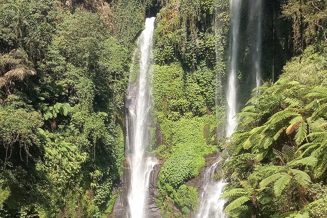 All Inclusive Sekumpul Waterfall Trekking , Handara Gate & Temple - Lunch, Water, and the Little Comfort Details