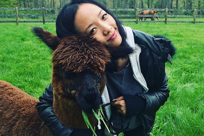 Alpaca and Llama Trek in Pleasant Valley - What You’re Really Getting: A Guided Animal Walk, Not a Zoo Stop