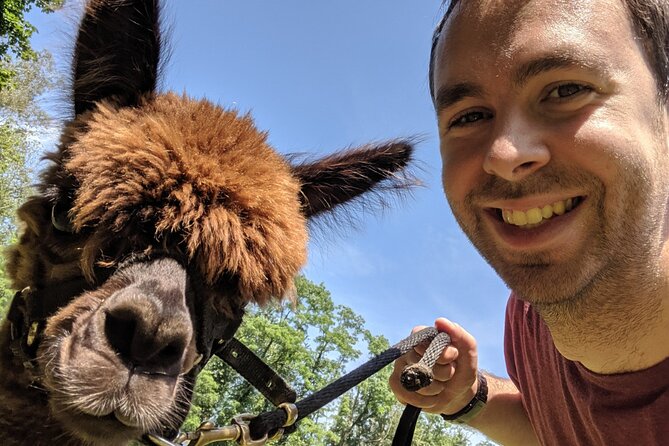 Alpaca and Llama Trek in Pleasant Valley - Practical Tips for Your Best Day Outdoors