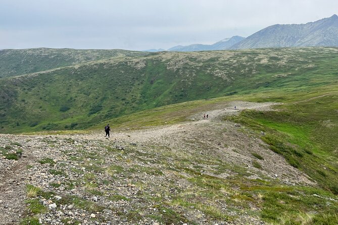 Alpine Classic Trek - Chugach ridgelines: why this beats a quick drive for Anchorage views