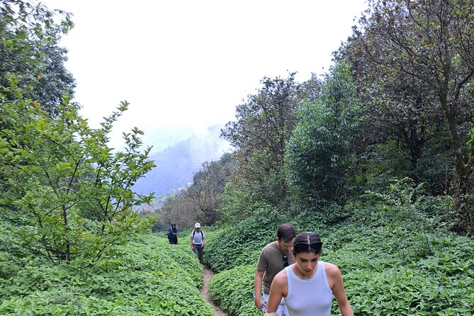 Amazing 1 Day Trekking Experience in Kathmandu Nepal - Pace, Stairs, And What This Workout Feels Like
