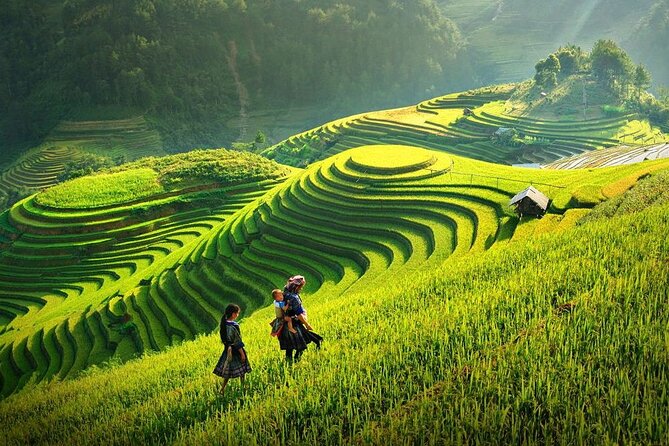 Amazing Sapa Fansipan Cable Car - Trekking: Fun, Majestic fr Sapa - Cable Car To Fansipan Peak: The View Upgrade