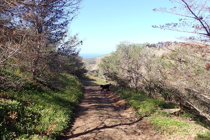 Ana Ferreira Caves & Peaks Trekking - Views, photos, and why pacing matters