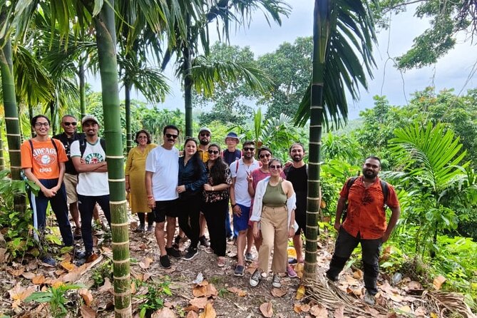 Ancient Lava Stream Trek through dense Tropical forest. - Why Havelock’s “lava stream” trek feels more meaningful than a standard hike