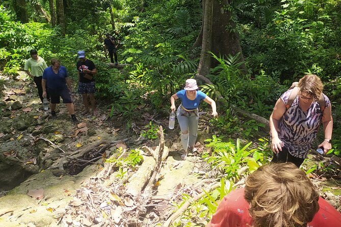 Ancient Lava Stream Trek through dense Tropical forest. - Who should book this trek, and who should skip it