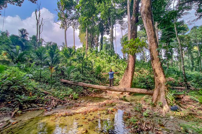 Ancient Lava Stream Trek through dense Tropical forest. - Rope-assisted climbing and rappelling: when “easy” stops being easy