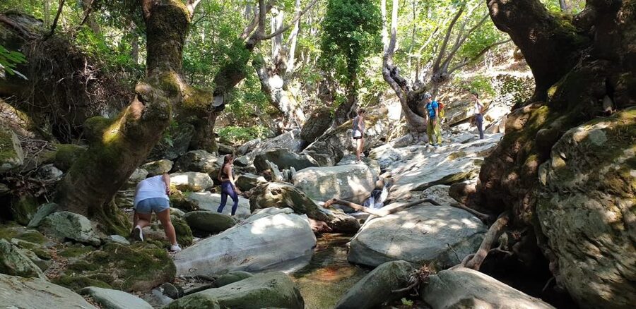 Andros: Achla River Trekking to the Waterfall - Key highlights you’ll actually feel