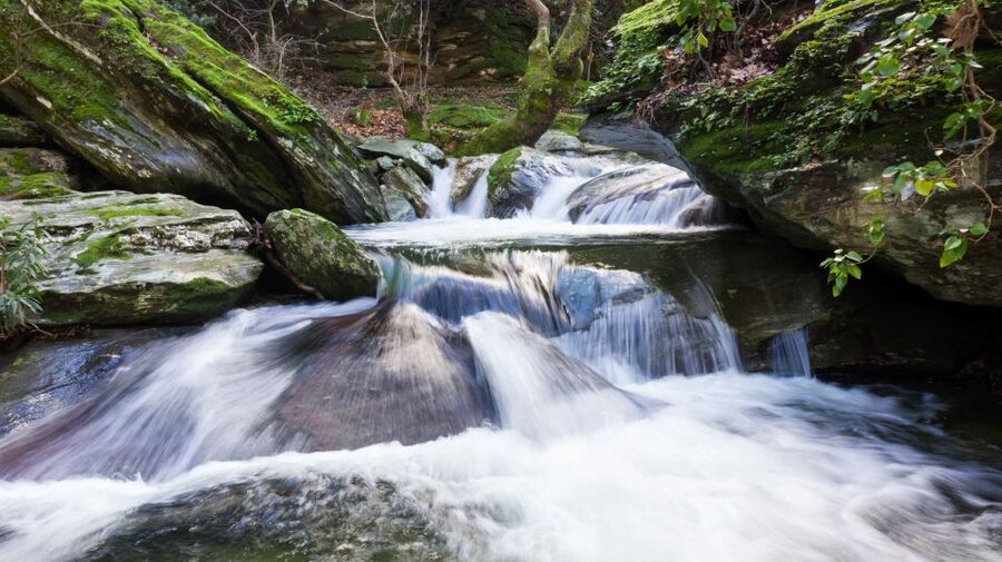 Andros: Achla River Trekking to the Waterfall - Price and value: what $73 buys you (and what you need to add)