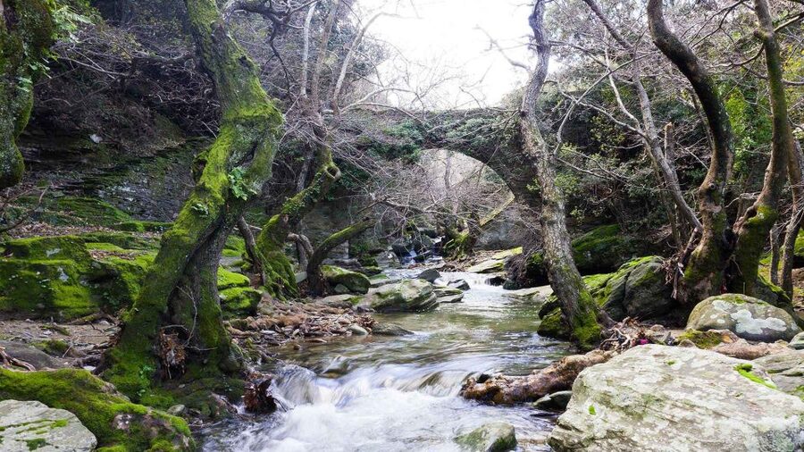 Andros: Achla River Trekking to the Waterfall - Safety and effort: the unglamorous part you should take seriously