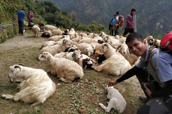 Annapurna: 2 Days 1 Night Poon Hill Trekking - Day 1 to Ghorepani: Forest Footsteps and Tea-House Nights