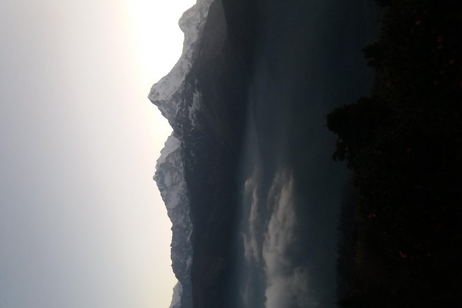 Annapurna: 2 Days Poon Hill Trek from Pokhara - The permits, TIMS card, and why it’s worth having someone handle it