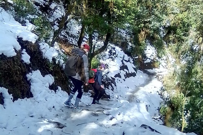 Annapurna: 5 Days Poon Hill Circuit Trek from Pokhara - Key highlights that matter on this trek