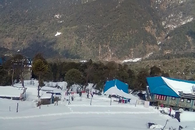 Annapurna: 5 Days Poon Hill Circuit Trek from Pokhara - Jhinu Danda hot springs: the recovery stop you’ll be glad is real