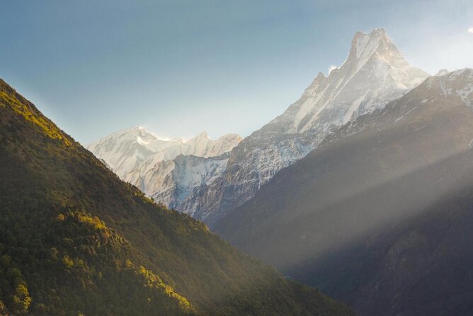 Annapurna Base Camp Trek - 10 Days - The return from base camp: Sinuwa, bamboo, and a different kind of tired