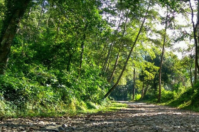 Annapurna Base Camp Trek- 11 Days - Day 4: Chhomrong to Bamboo (4–5 Hours) — Where the Route Turns More Mountain-Serious