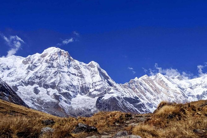 Annapurna Base Camp Trek- 11 Days - Day 5: Bamboo to Deurali (3–4 Hours) — Shorter Day, Higher Stakes