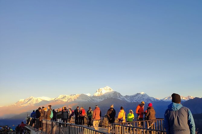 Annapurna Base Camp Trek 12 Days - Day 5: Poon Hill sunrise, peak counting, and the short hike that pays off