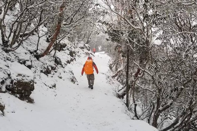 Annapurna base camp trek 5 Days - Day 4: Reaching Annapurna Base Camp (The Big Payoff Day)