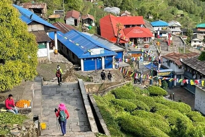 Annapurna Base Camp Trek 5 Days from Pokhara - Why This 5-Day Annapurna Base Camp Route Works From Pokhara