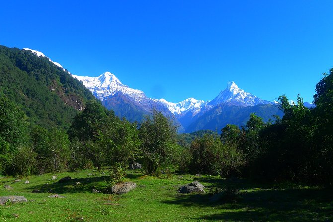 Annapurna Base Camp Trek -8 days - Chhomrong: ridge climbs at Kimrong Danda and the big forest-to-valley feeling