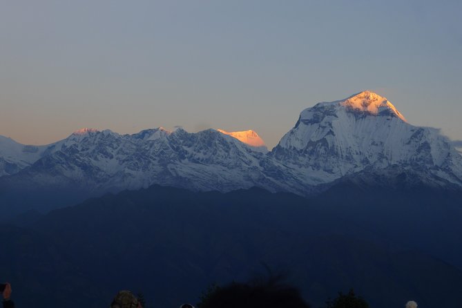 Annapurna Base Camp Trek -8 days - Dobhan to Bamboo to Dovan: rhododendron, bamboo groves, and river-gorge trekking