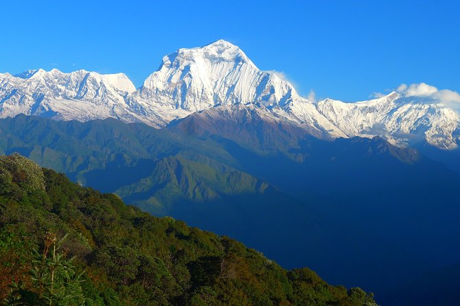 Annapurna Base Camp Trek -8 days - Machhapuchhare Base Camp: the Modi River route narrows the world
