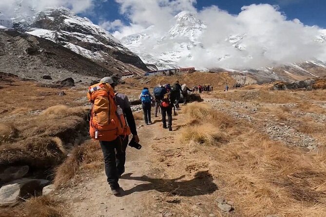 Annapurna Base Camp Trek from Pokhara and Kathmandu - Day by day on the trail: what each walking day really offers