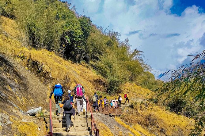 Annapurna Base Camp Trekking 09 Days - Annapurna Sunrises and the Descent to Bamboo: Where Energy Comes Back