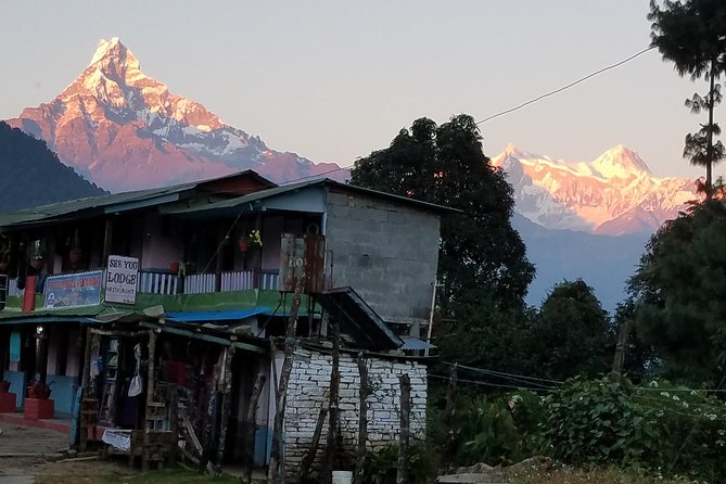 Annapurna Base Camp Trekking - 14 Days - Dovan and Machhapuchre Base Camp: colder air and the glacier feel