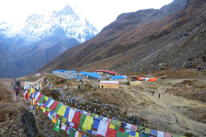 Annapurna Base Camp Trekking - 14 Days - The Annapurna Base Camp day: around 4130m and worth the wait