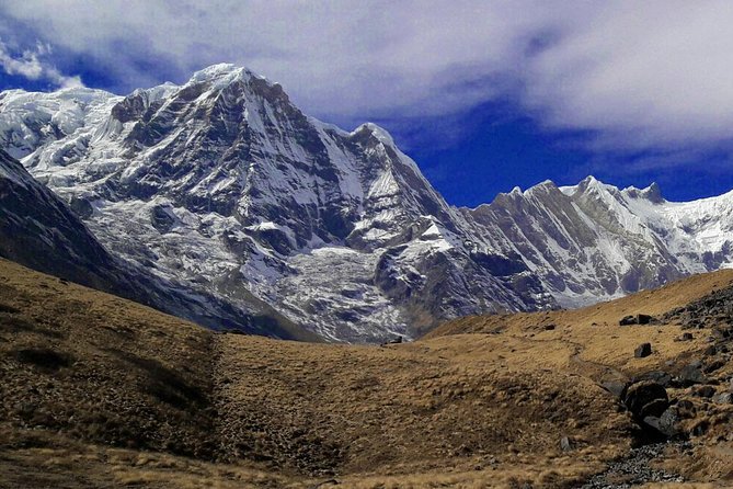 Annapurna Base Camp Trekking - Day 3: Machhapuchhare Base Camp to Tadapani—more forest, more mood