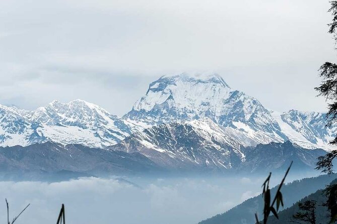 Annapurna Base Camp with Poon hill 9-Day Trek Itinerary - Days 7 to 8: descending to Bamboo and soaking in Jhinu Danda hot springs