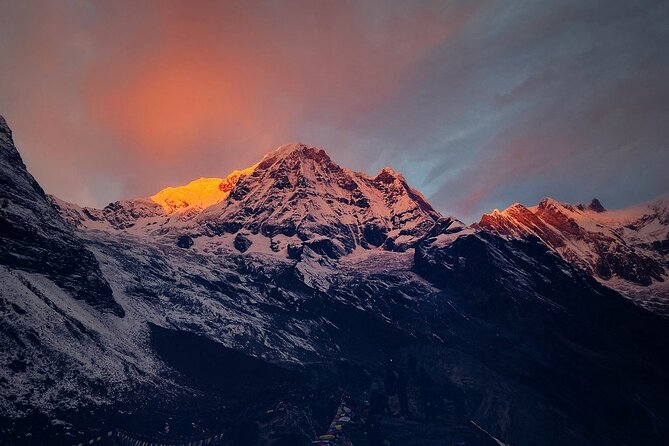 Annapurna Circuit Trek with Tilicho Lake - Downward into rhododendron country: Ghorepani and Poon Hill sunrise