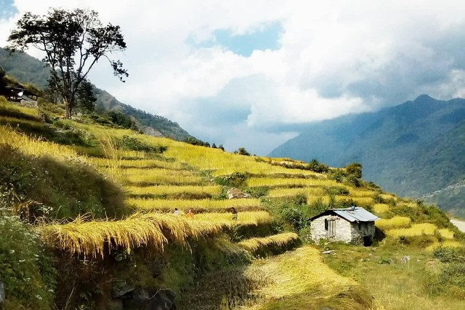Annapurna Circuit Trekking -17 Days - Timang at altitude: the days get longer (Day 5)