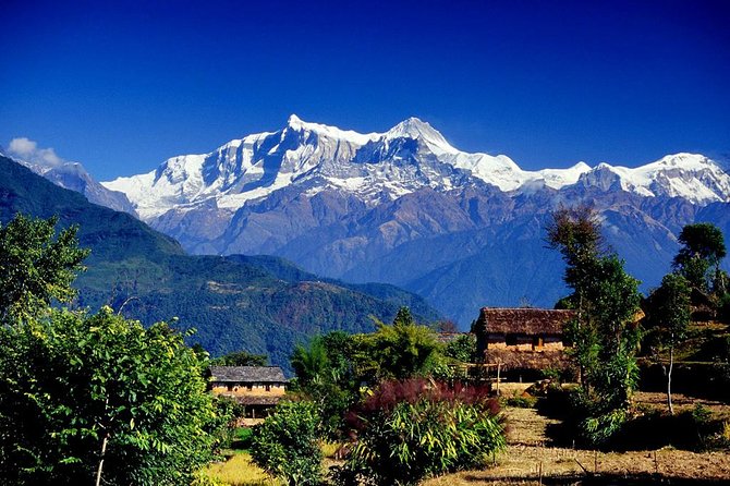 Annapurna Ghorepani Poon Hill trek from Pokhara short and easy hike in Himalaya - Key highlights you’ll actually care about
