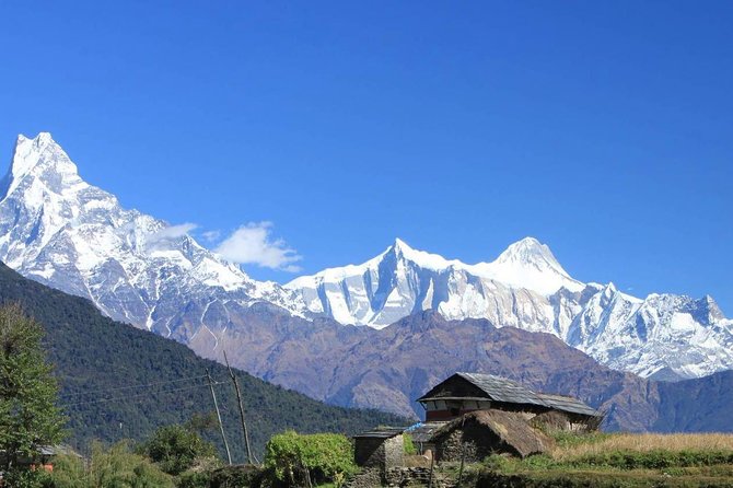 Annapurna Ghorepani Poon Hill trek from Pokhara short and easy hike in Himalaya - Tadapani to Ghandruk: village life beyond the trail