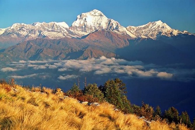 Annapurna Ghorepani Poonhill Trekking - Key things I’d zero in on before you book