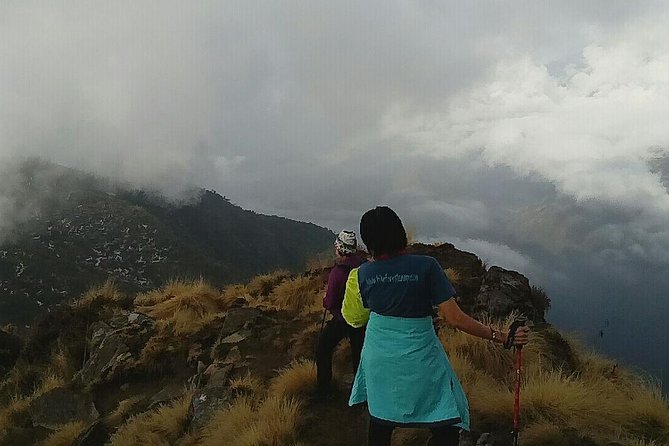 Annapurna: Mardi Himal Base Camp Trek - Low Camp to High Camp: where the route really starts changing
