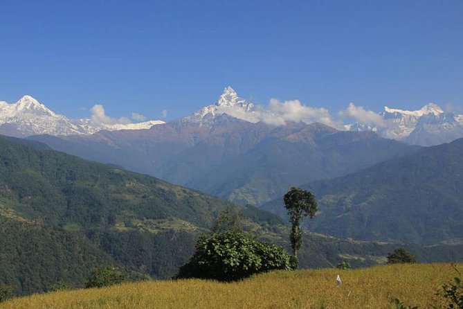 Annapurna Panorama trek - Key highlights at a glance