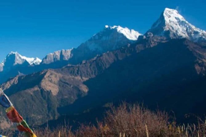 Annapurna Poon hill Sunrise Trek - Days 3 and 4: stone steps, rhododendron forests, and the old route vibe