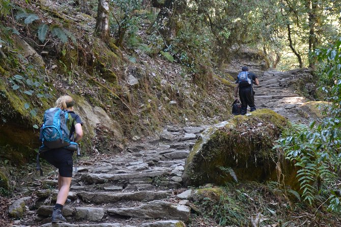 Annapurna Poonhill Trek - Trek Day 4: Ulleri stone steps to Ghorepani’s classic viewpoint base