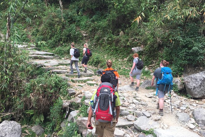Annapurna Poonhill Trek - Trek Day 7: back toward Pokhara via Dhampus and Phedi