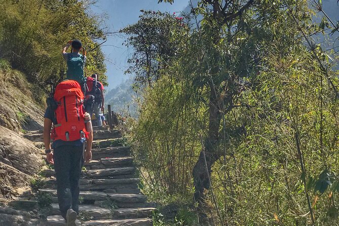 Annapurna Sanctuary Trek ( 11 Days) - Hinku Cave, Deurali lunch breaks, and onward toward Machhapuchhre Base Camp