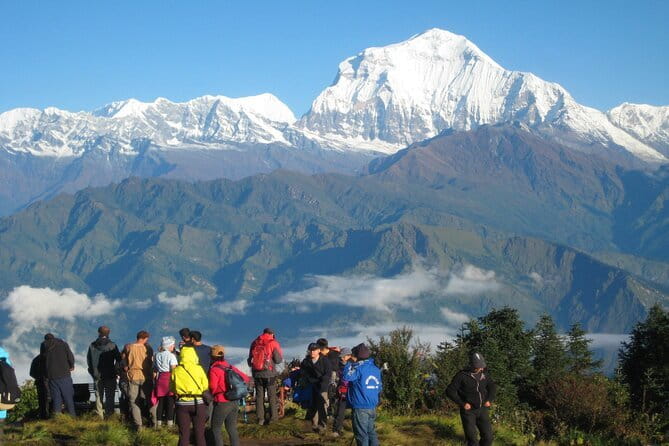 Annapurna Sanctuary Trek - 14 Days - The long downhill truth: letting your legs recover on the way back