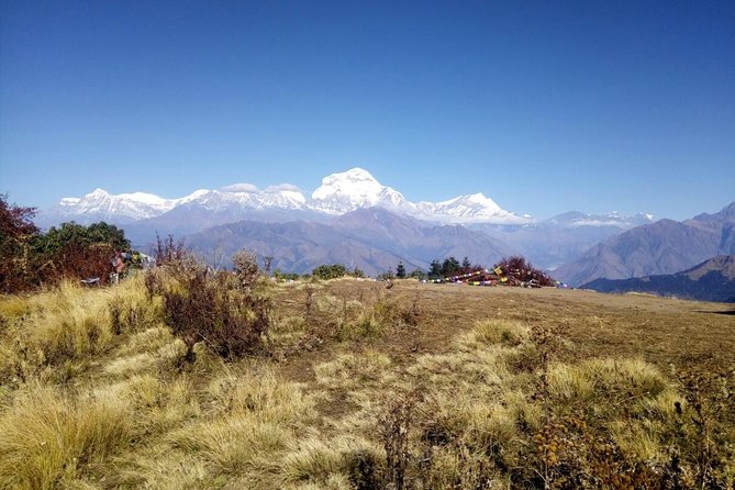 Annapurna Sunrise Trek - Key things that make this trek worth your time
