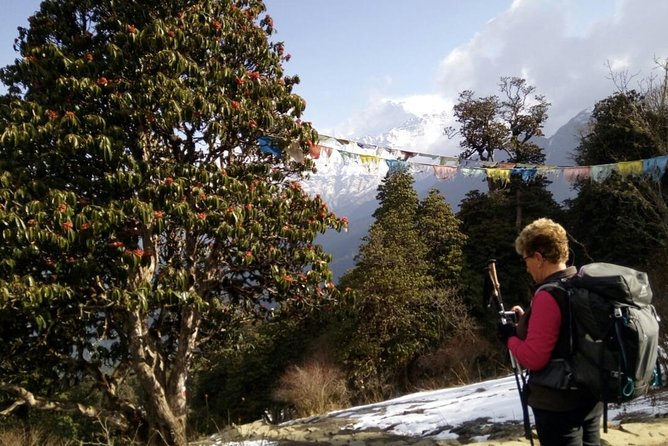 Annapurna Sunrise Trek - Poon Hill sunrise: the 3,210m early hike you’ll remember for years