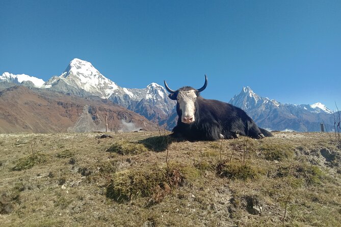 Annapurna View Trek - Day 5: Pokhara to Kathmandu (Drive or Flight)