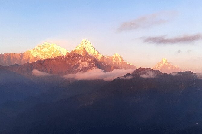 Annapurna View Trek - The Biggest Strengths: Guides, Smooth Logistics, and That View Moment