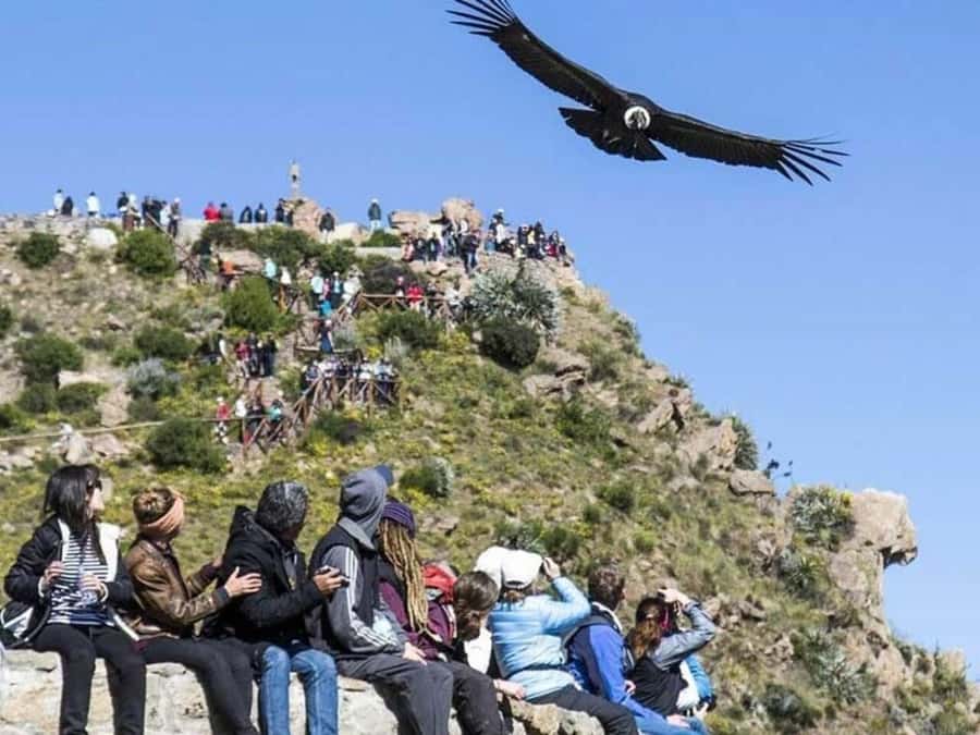 Arequipa: Colca Canyon Trekking 2 days and 1 night + food - Why This Colca Canyon Trek Works (Cruz del Condor to Sangalle)
