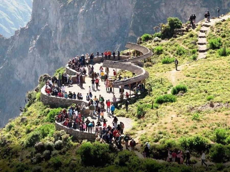 Arequipa: Colca Canyon Trekking 2 days and 1 night + food - Day 1: The Descent Into the Canyon, Villages Along the Way, and Lunch at San Juan de Chucho